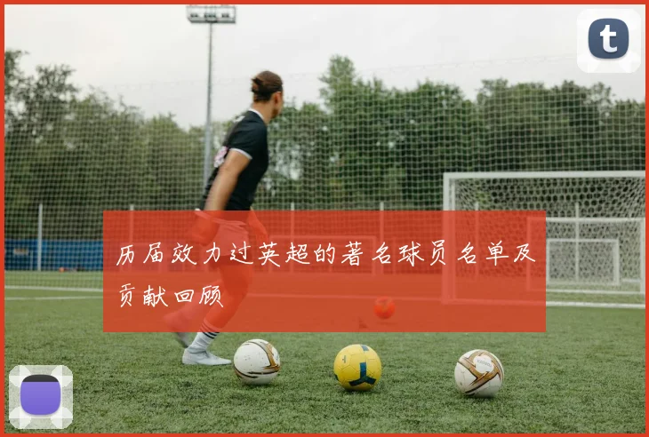 历届效力过英超的著名球员名单及贡献回顾