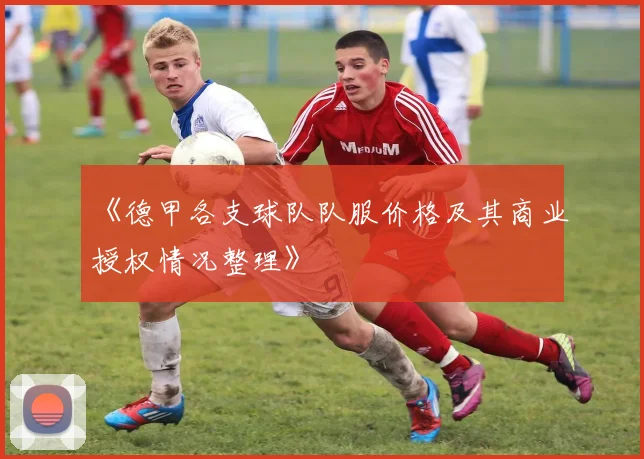 《德甲各支球队队服价格及其商业授权情况整理》