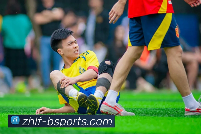 B体育Bsports发展历程